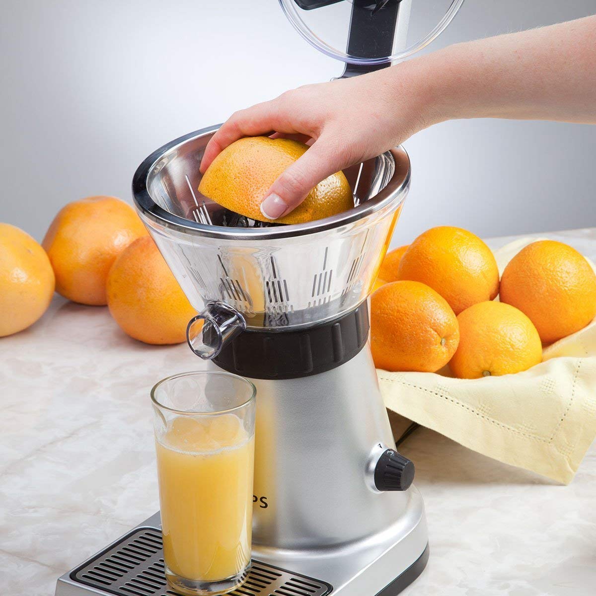 PROFESSIONAL CITRUS PRESS